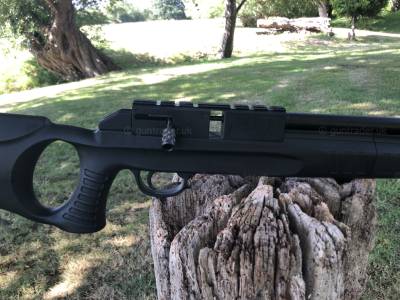Gun Image 2