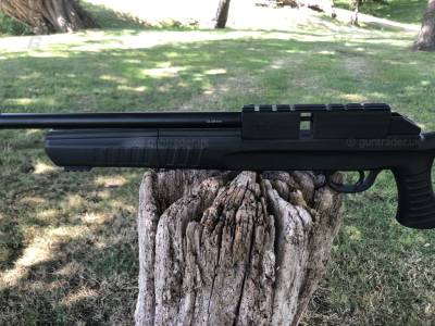 Gun Image 3