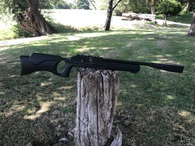 Gun Image 4