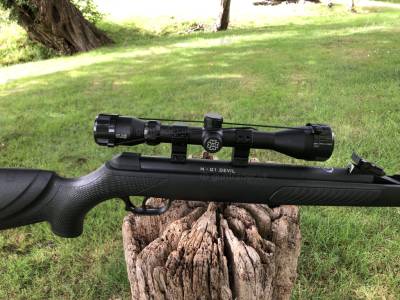 Gun Image 1