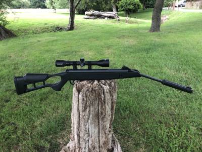 Gun Image 2