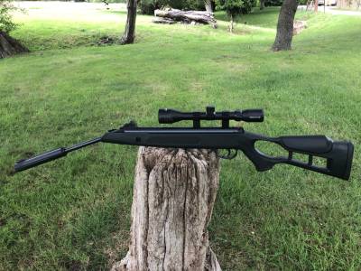 Gun Image 1