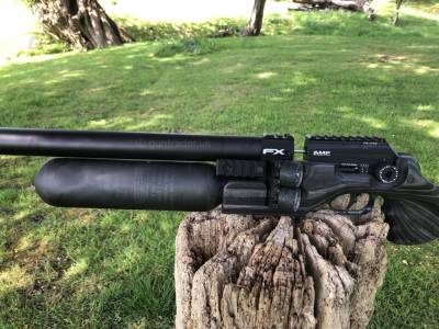 Gun Image 3