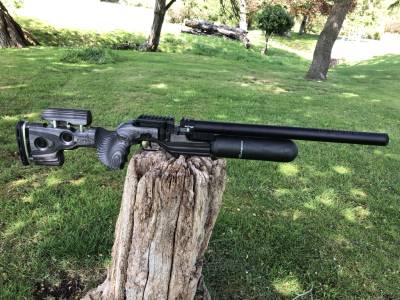 Gun Image 2