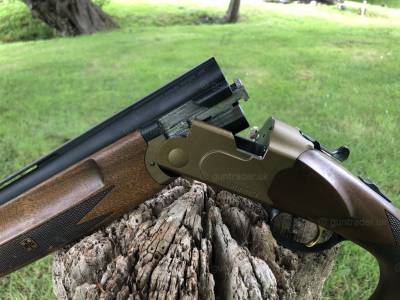 Gun Image 1