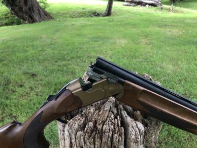 Gun Image 2