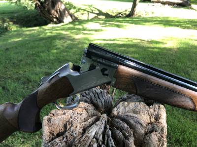 Gun Image 1