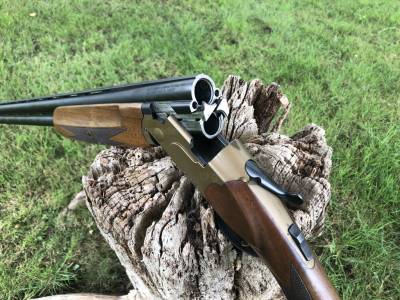 Gun Image 2