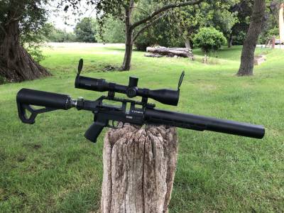 Gun Image 1