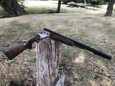 Gun Image 3