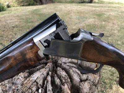 Gun Image 2