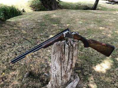 Gun Image 6