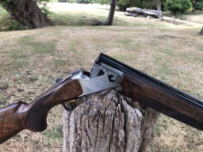 Gun Image 9