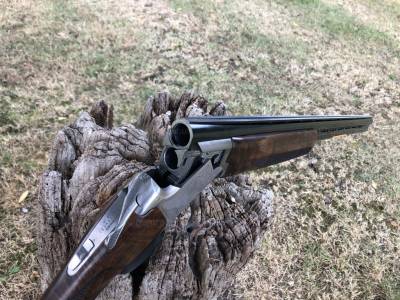 Gun Image 8