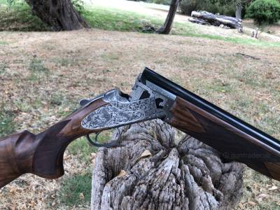 Gun Image 8
