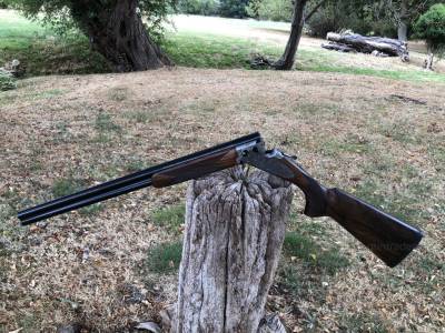 Gun Image 5