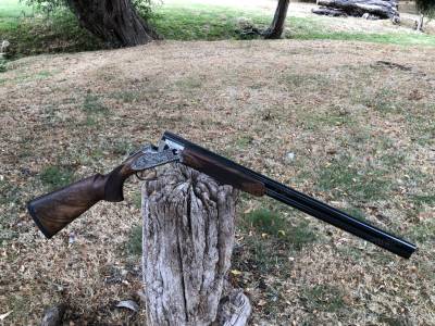 Gun Image 2