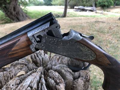 Gun Image 1
