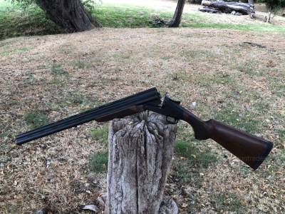 Gun Image 3