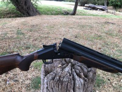 Gun Image 4