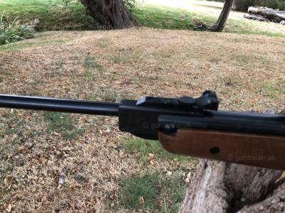 Gun Image 4