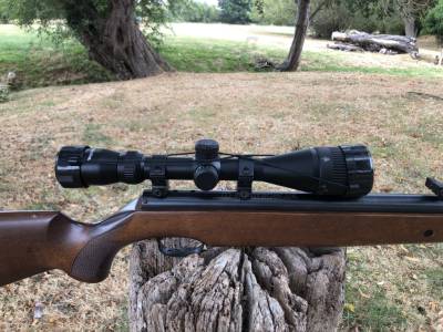 Gun Image 1