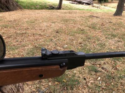 Gun Image 2