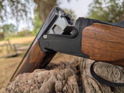 Gun Image 1