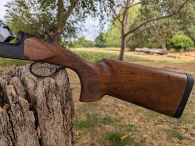 Gun Image 2