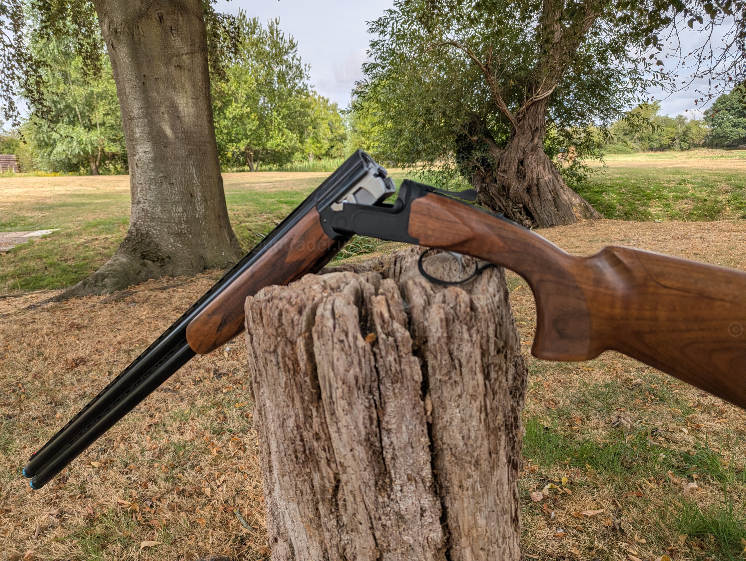 Photo of this gun