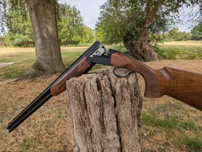 Gun Image 3