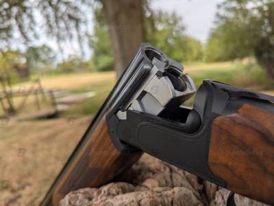 Gun Image 2