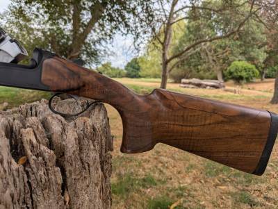 Gun Image 3