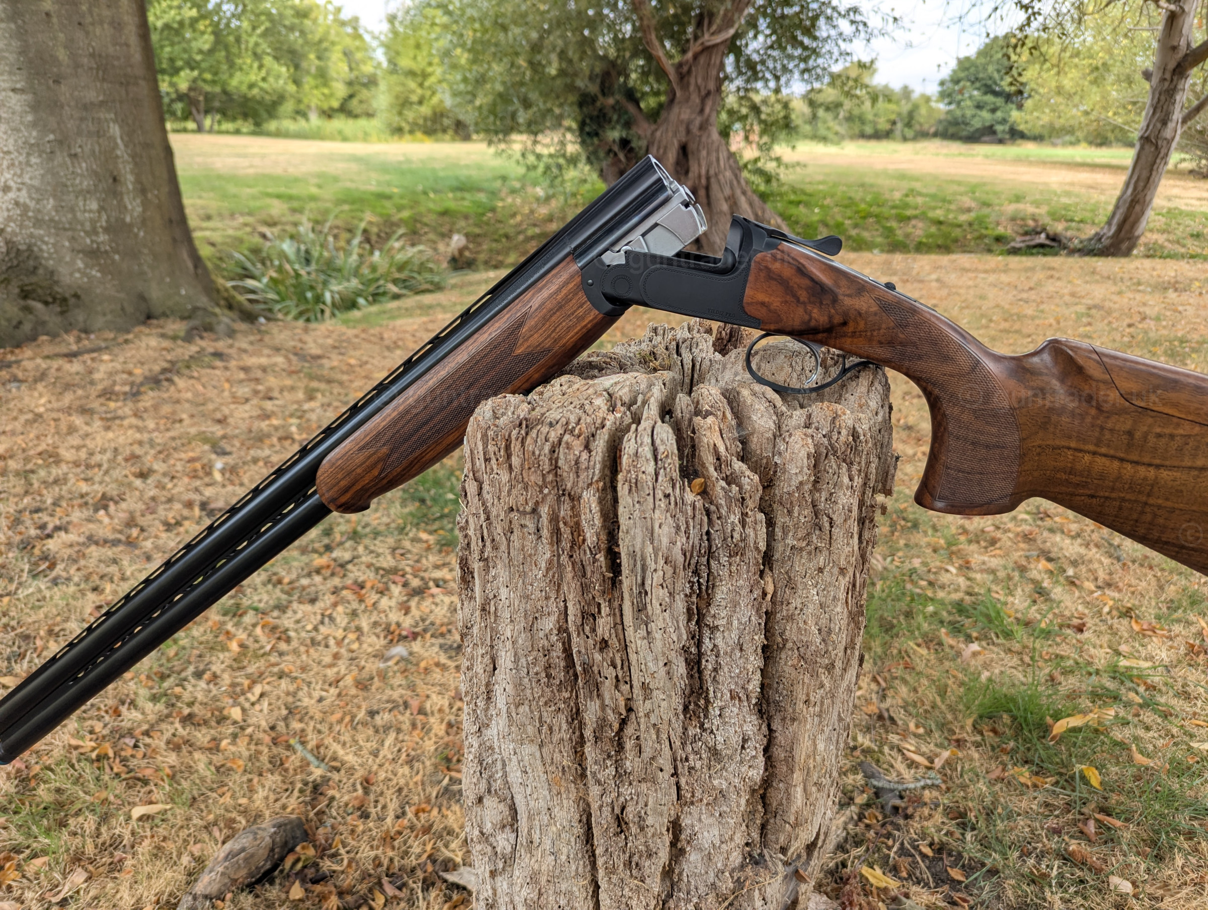 Photo of this gun