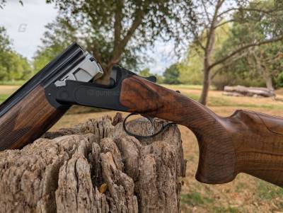 Gun Image 1