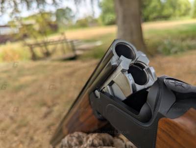 Gun Image 1