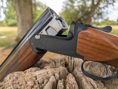 Gun Image 2