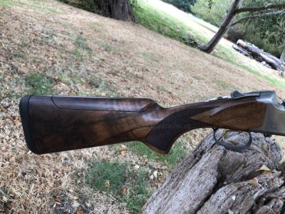Gun Image 2