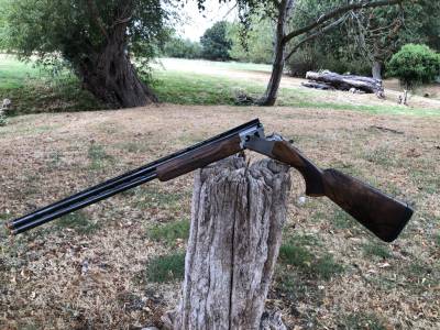 Gun Image 5