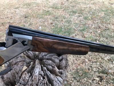 Gun Image 4
