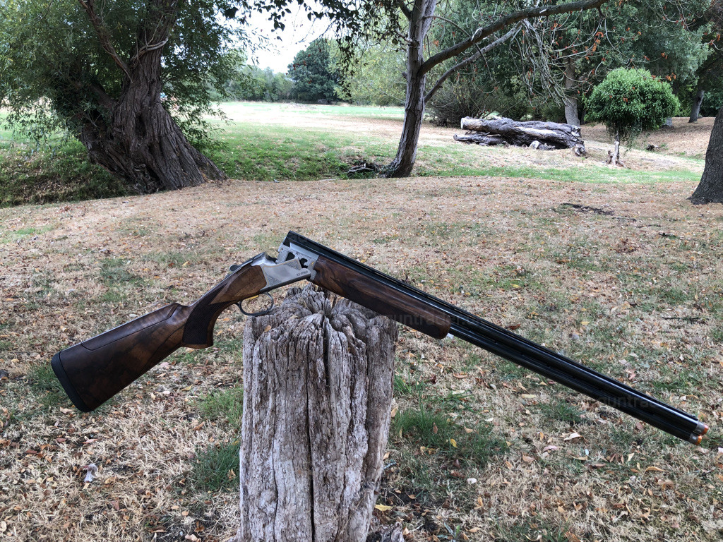 Photo of this gun