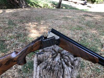 Gun Image 1