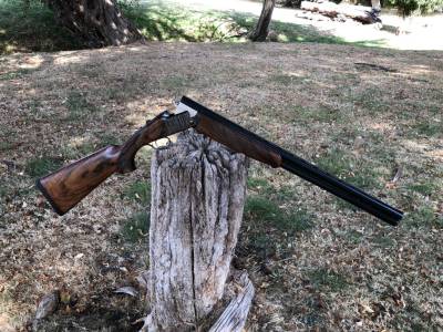 Gun Image 3