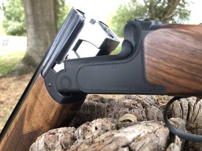 Gun Image 1