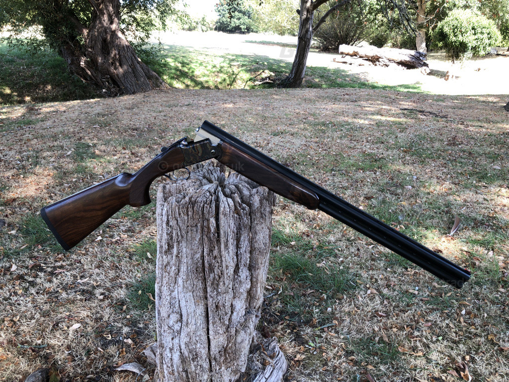 Photo of this gun