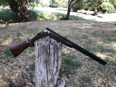 Gun Image 2