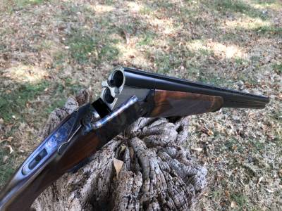 Gun Image 1