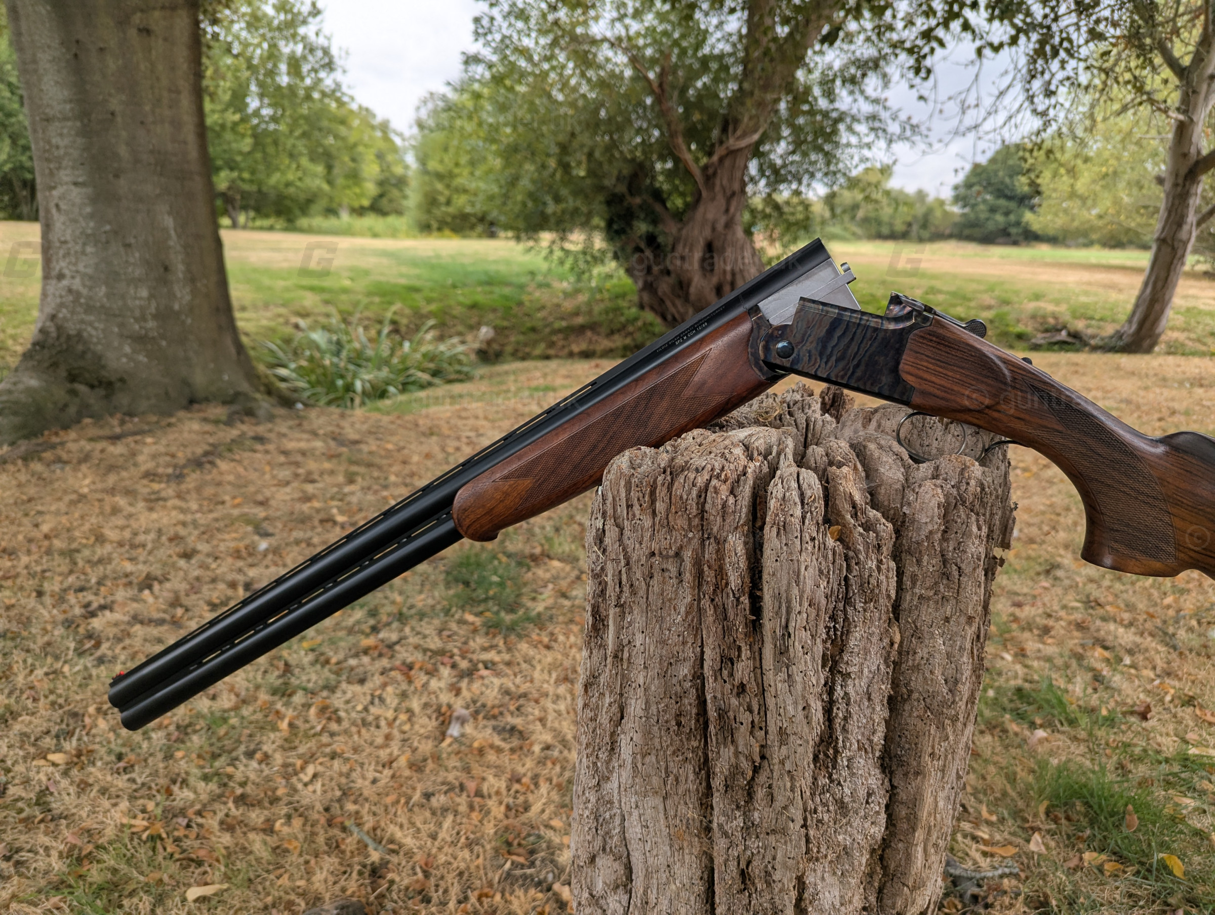 Photo of this gun