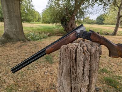 Gun Image 2