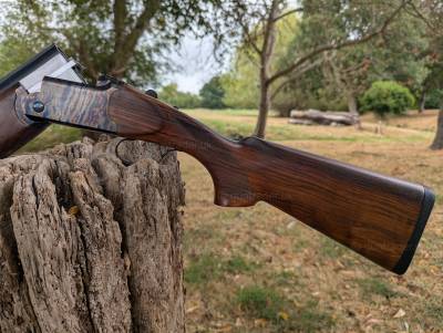 Gun Image 3